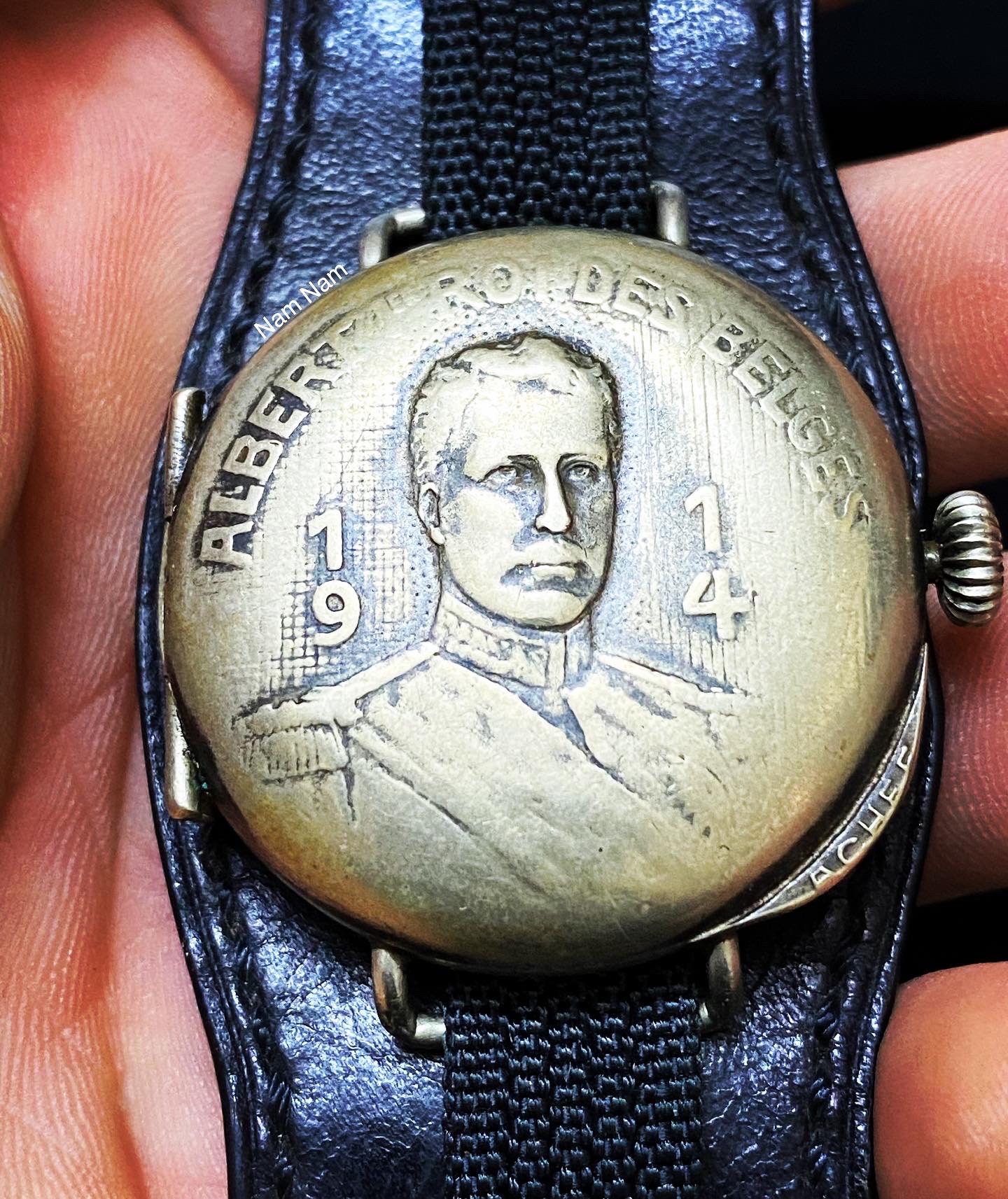 Albert Le Roi Des Belges